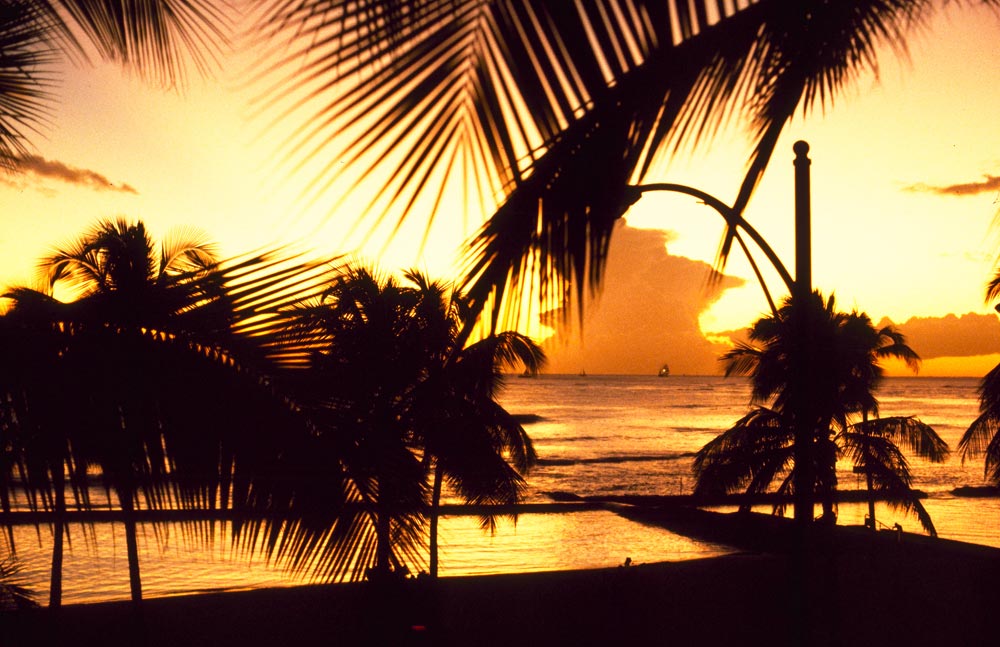 Waikiki Sunset