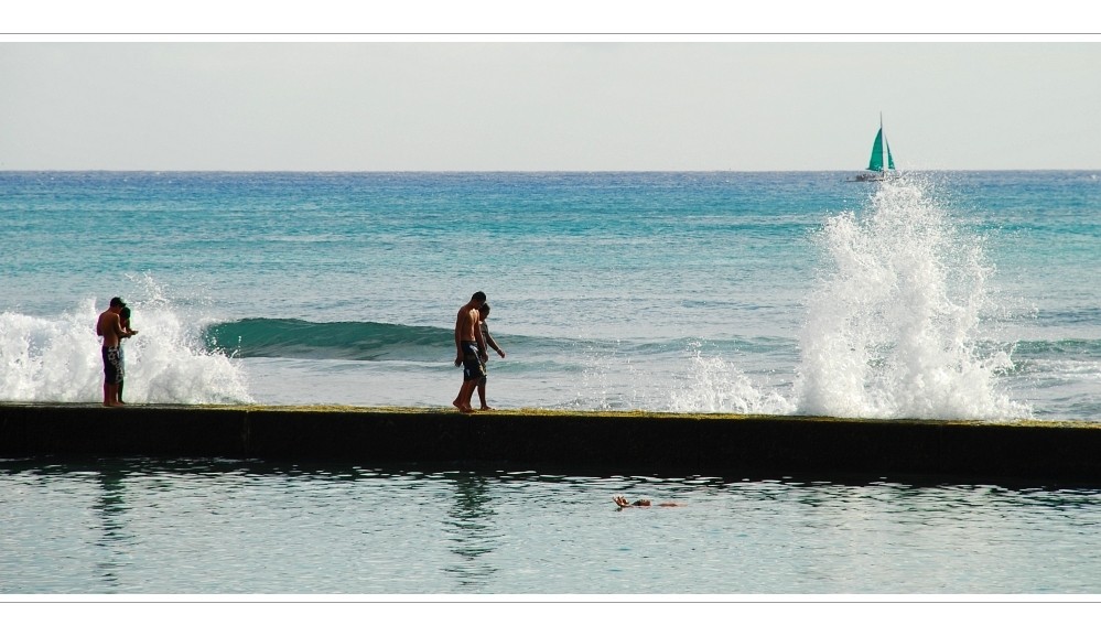 Waikiki Surf