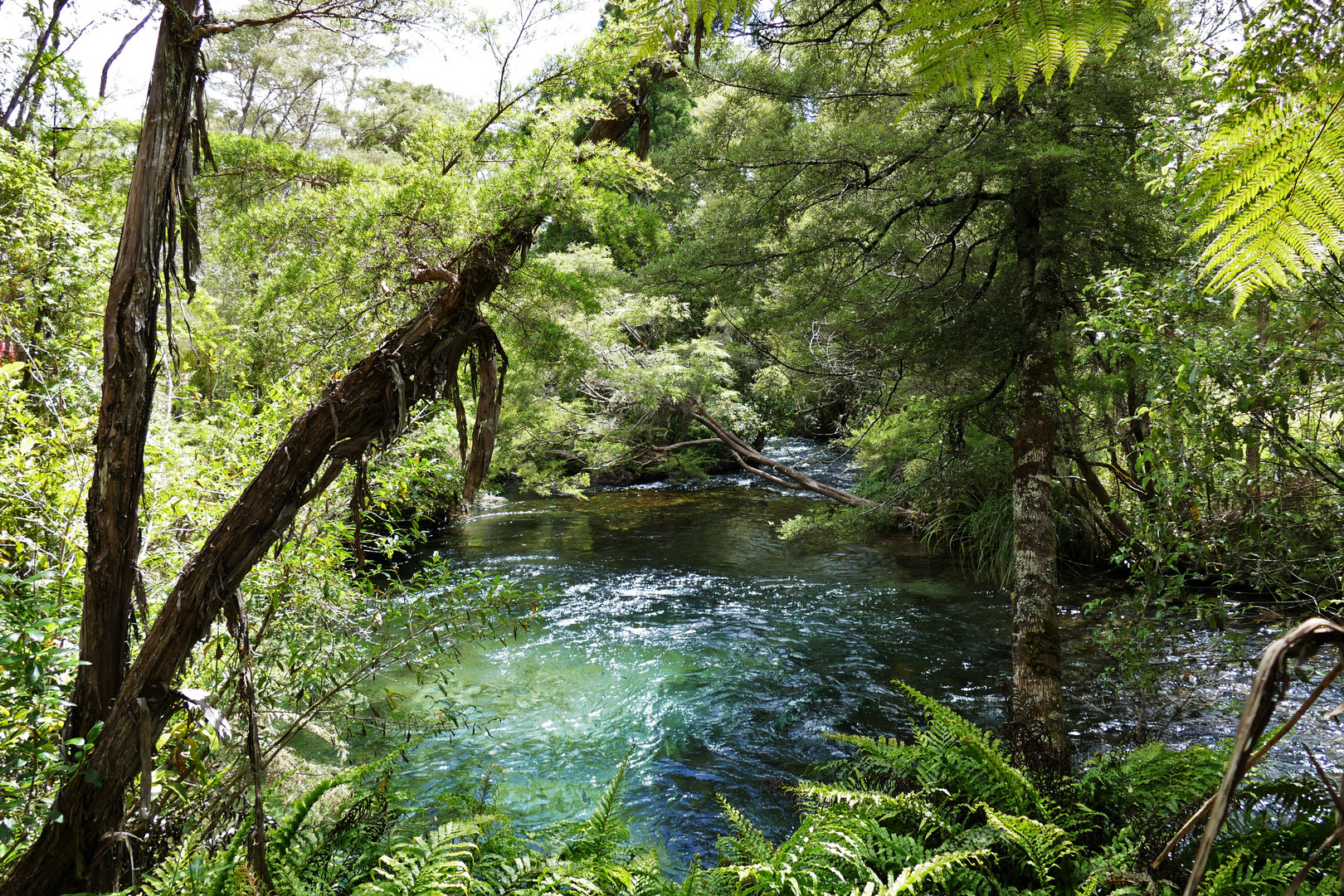 Waikoropupu Springs