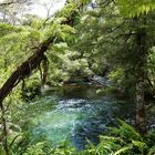 Waikoropupu Springs