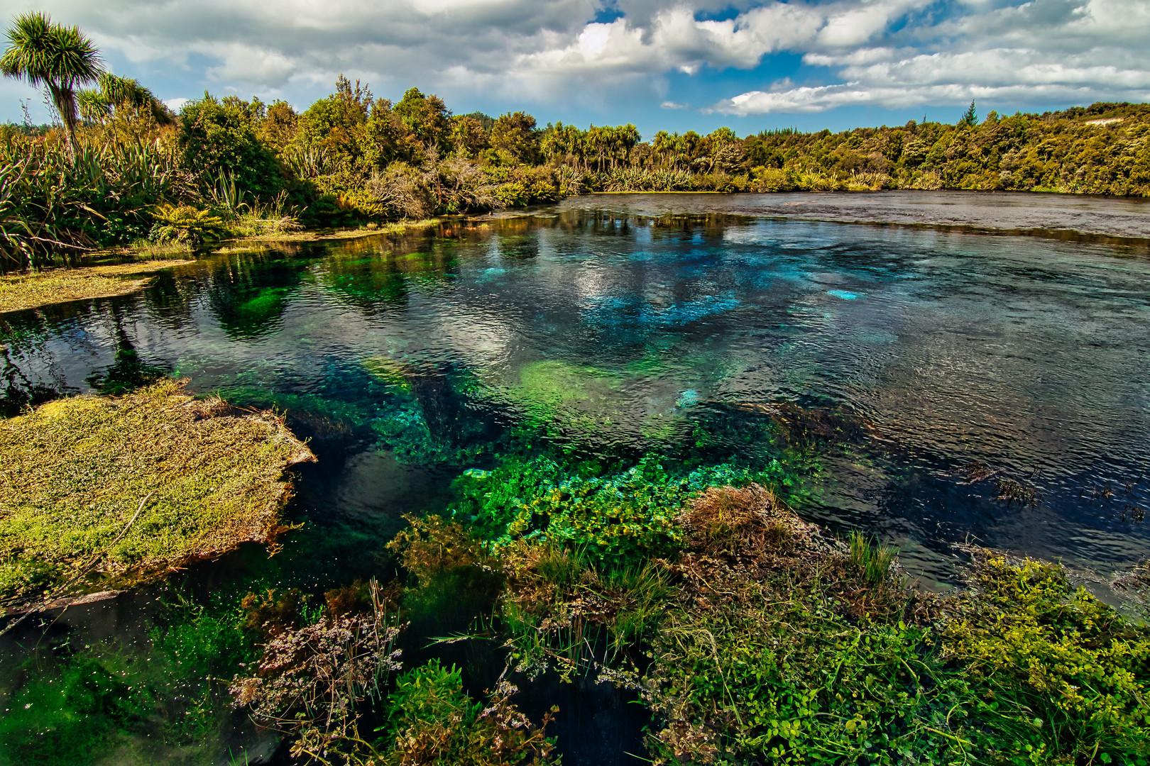 Waikoropupu Springs - Takaka