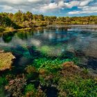 Waikoropupu Springs - Takaka