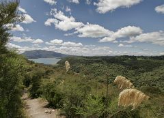 Waimangu Volcanic Valley