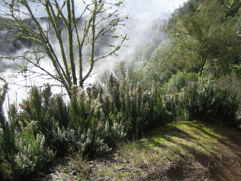 Waimangu Volcanic Valley, New Zealand (August 2006)