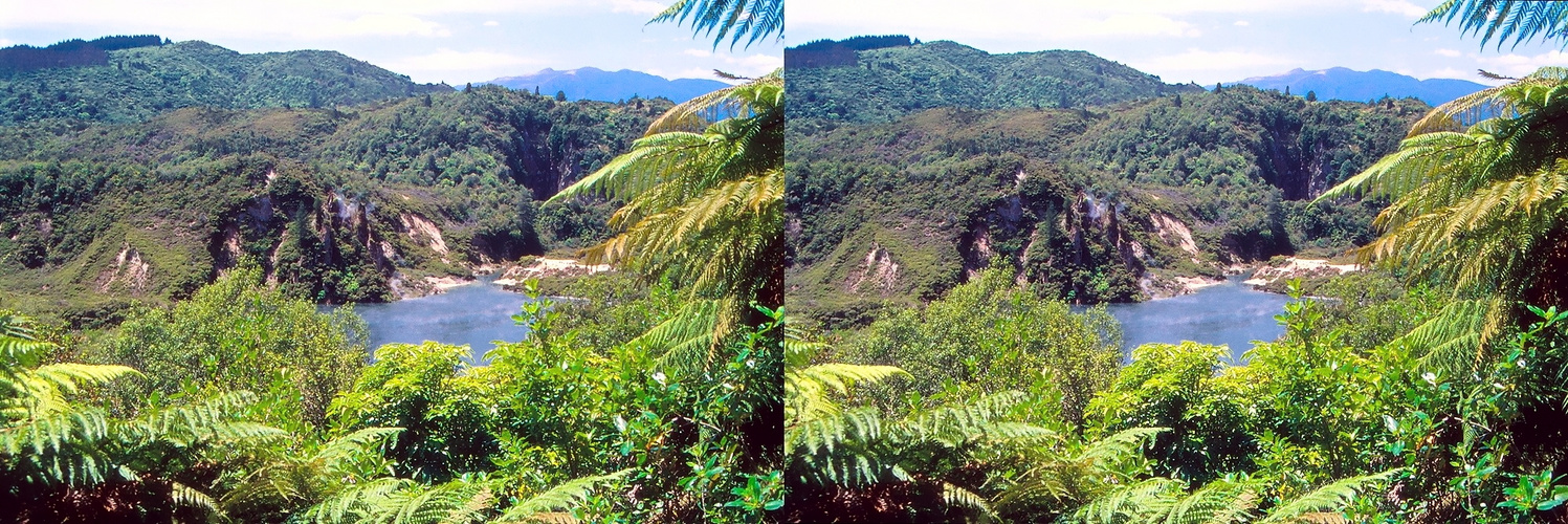 Waimangu Volcanic Valley - NZ