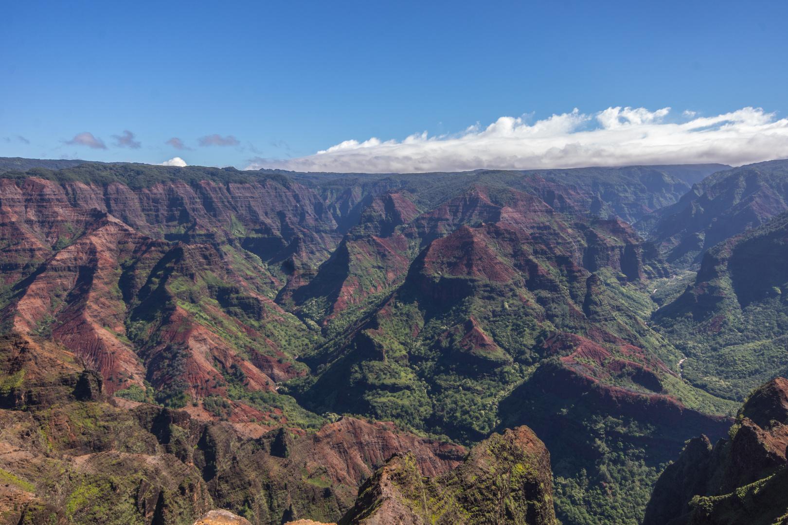 Waimea Canyon