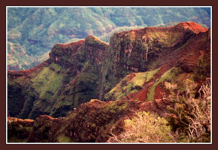 Waimea Canyon - III