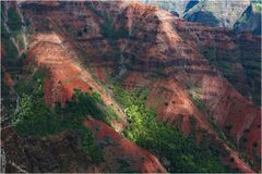 Waimea Canyon Kauai