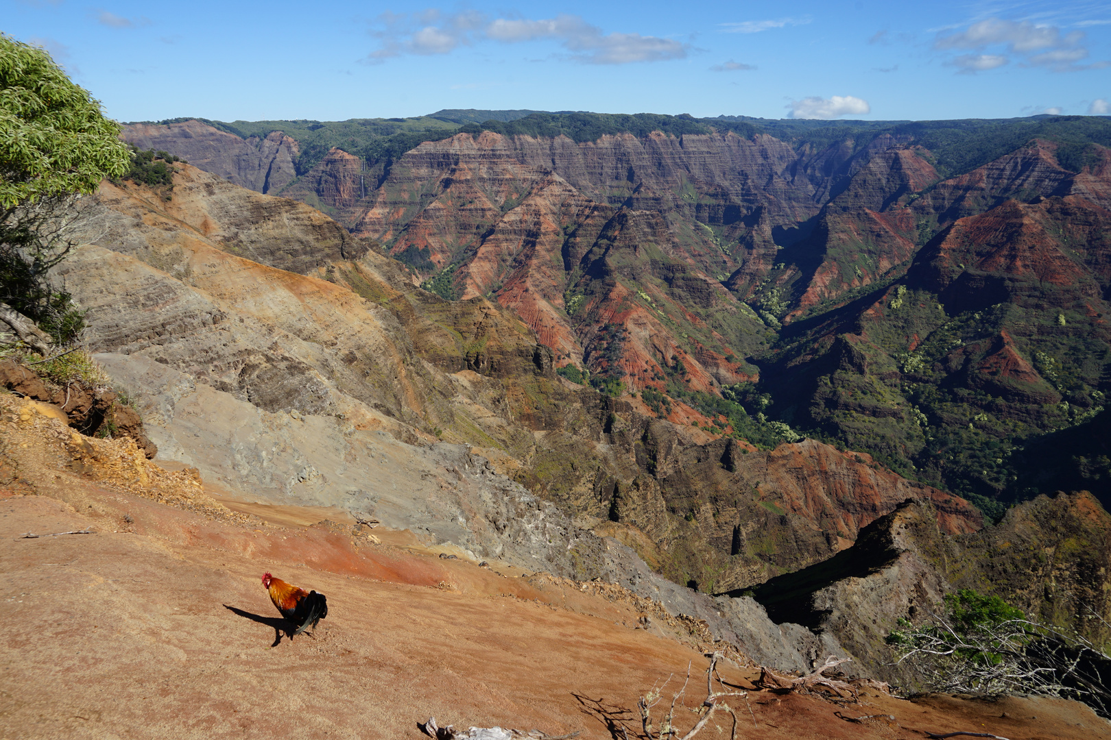 Waimea Canyon Kauai