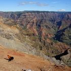 Waimea Canyon Kauai