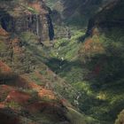 Waimeo Canyon, Kaua'i