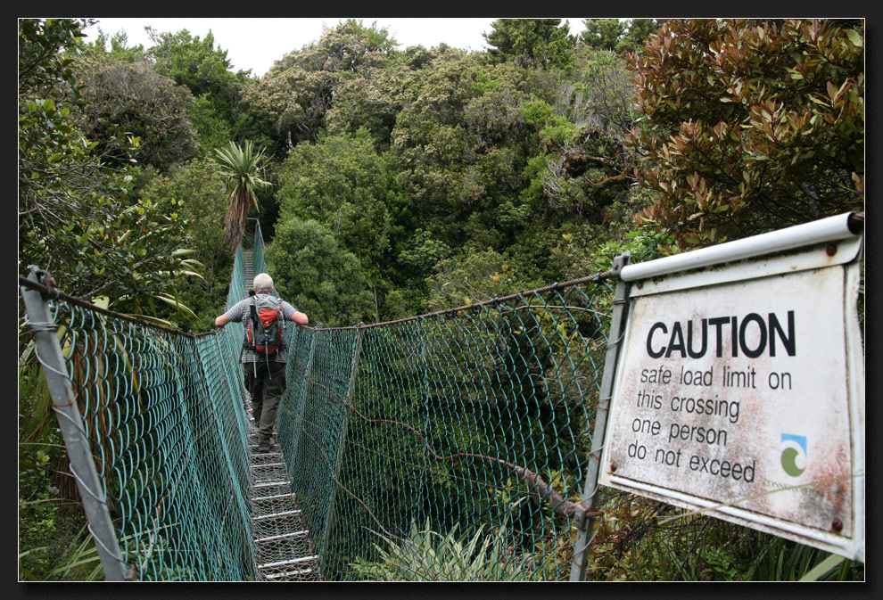 Waingongoro Track Swingbridge, Mt Taranaki