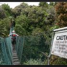 Waingongoro Track Swingbridge, Mt Taranaki