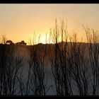 Waiotapu, Neuseeland