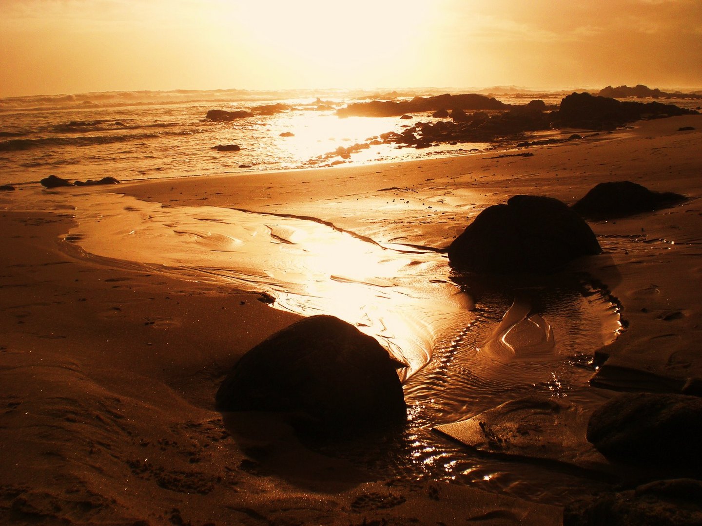 Waipoua Beach