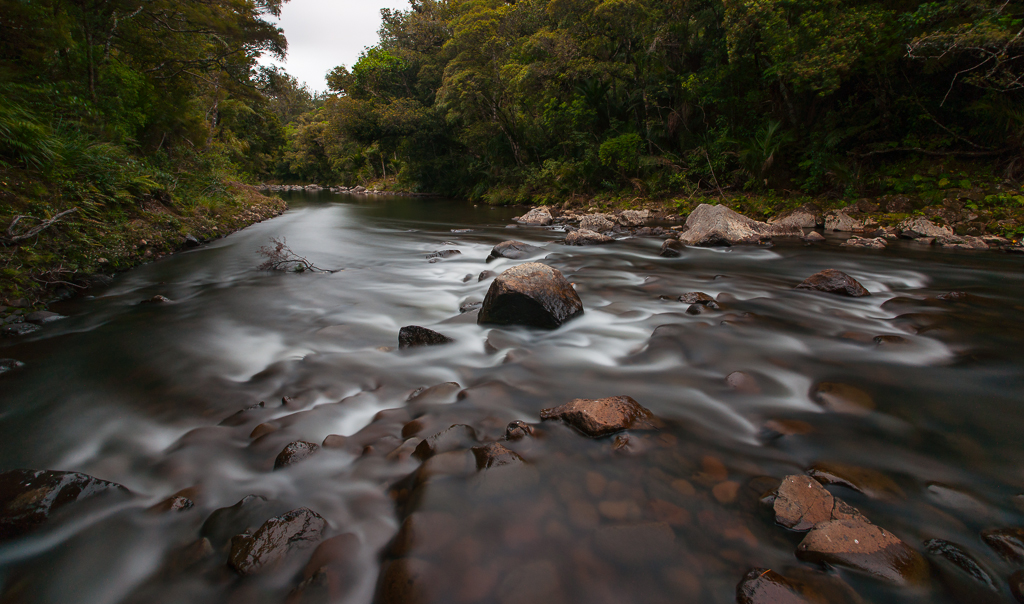 waipoua river...