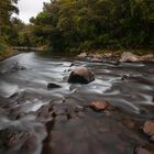 waipoua river...