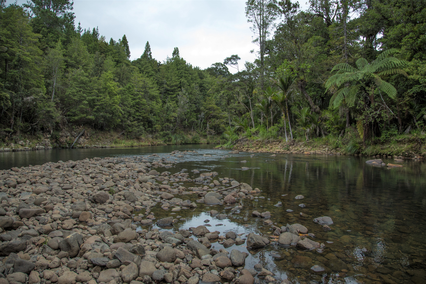 Waipoua River Foto & Bild landschaft, bach, fluss & see, flüsse und