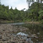 Waipoua River