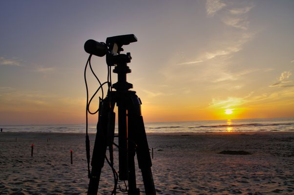 Zweihorn Fotos & Bilder Fotograf aus der schönen Pfalz, Deutschland