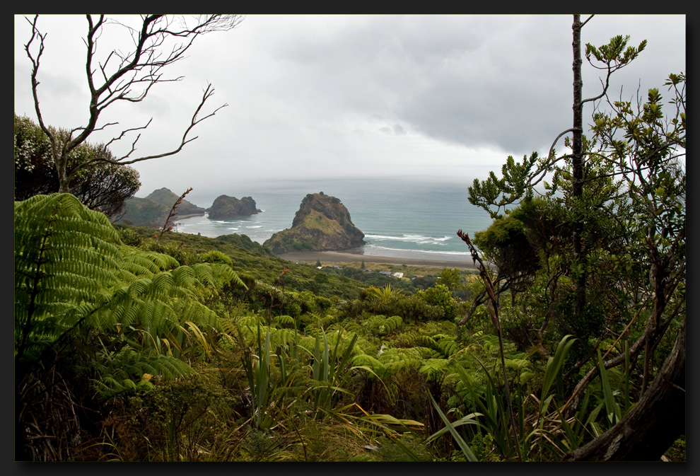 Waitakere Ranges Regional Park