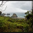 Waitakere Ranges Regional Park