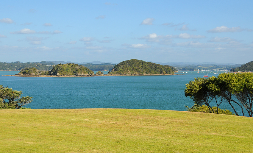 Waitangi Day