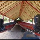 Waitangi - Treaty Grounds , Kriegskanus der Maori