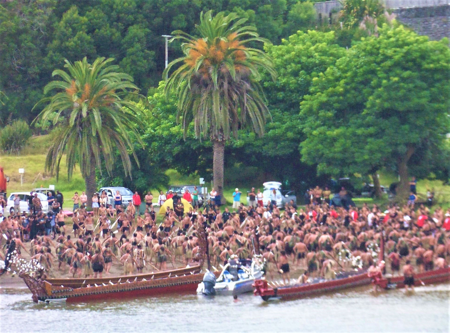 Waitangiday