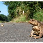 waitin` for the bus