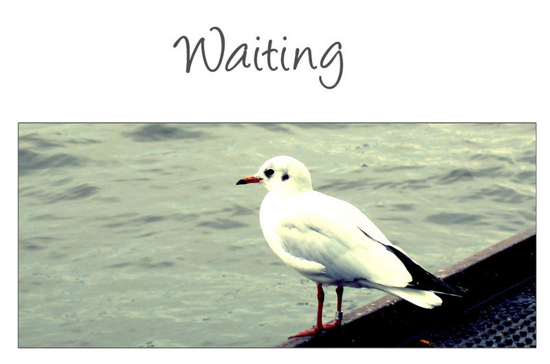 Waiting