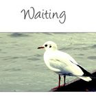 Waiting