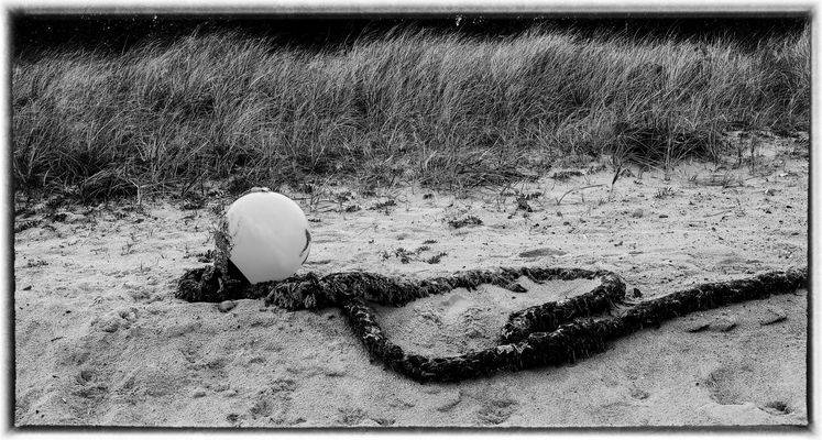 Waiting For Assignment