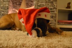 Waiting for Christmas