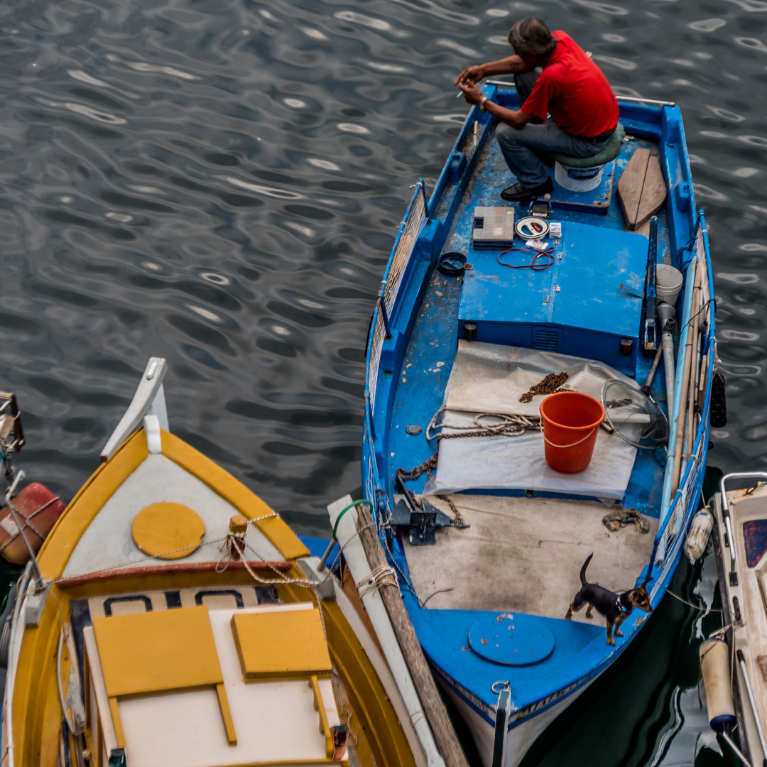 waiting for fish?