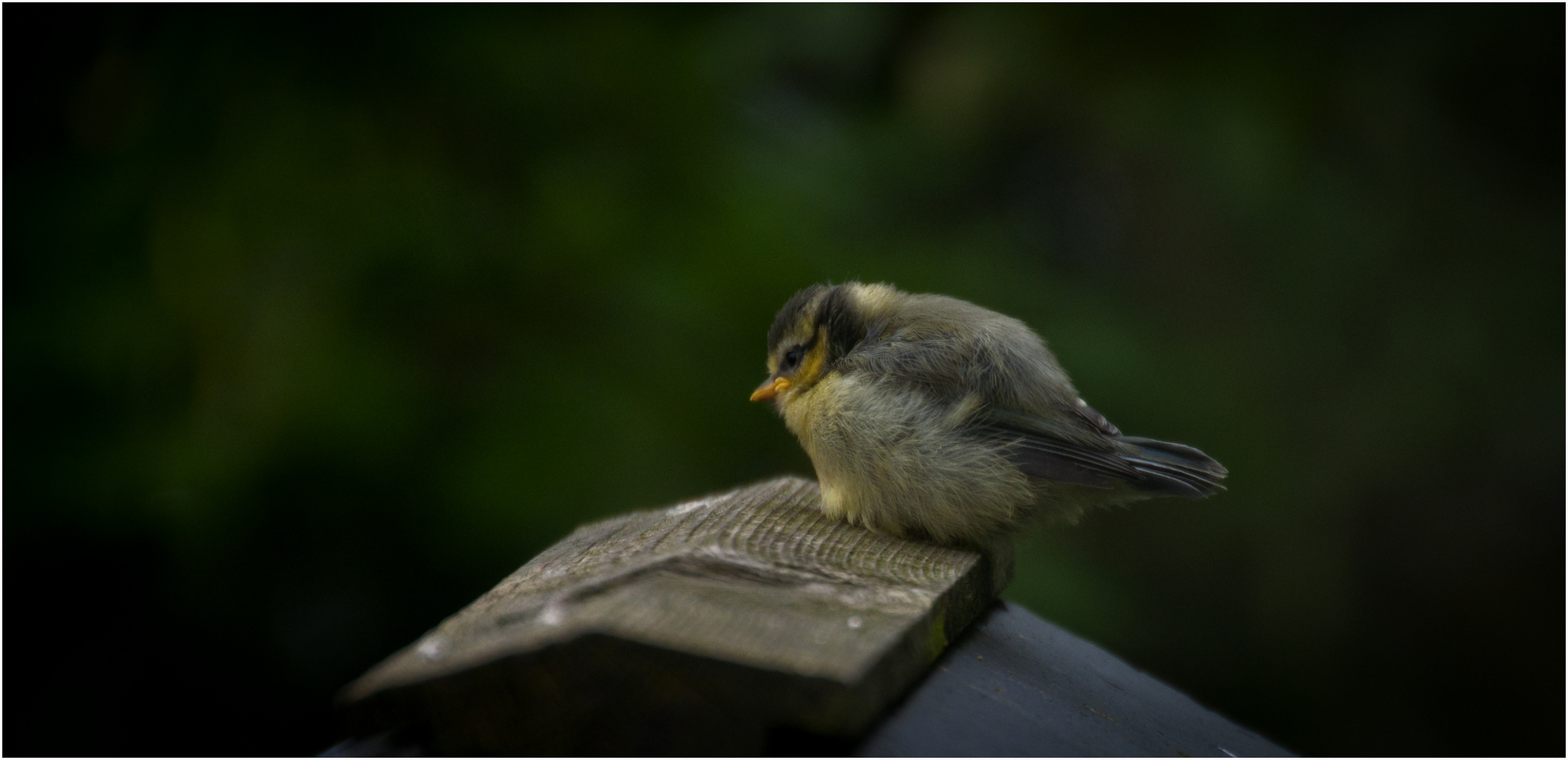 Waiting for Mum