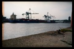 waiting for my ship [hh industry series]