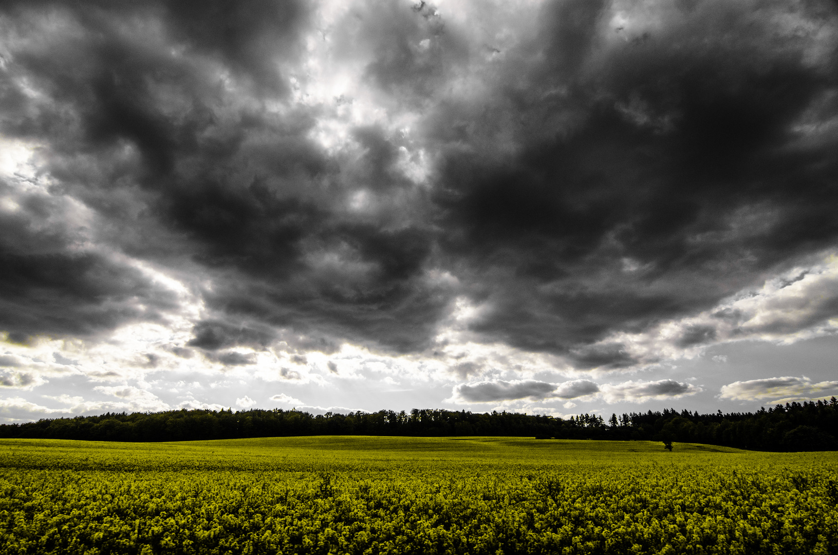 WAITING FOR RAIN