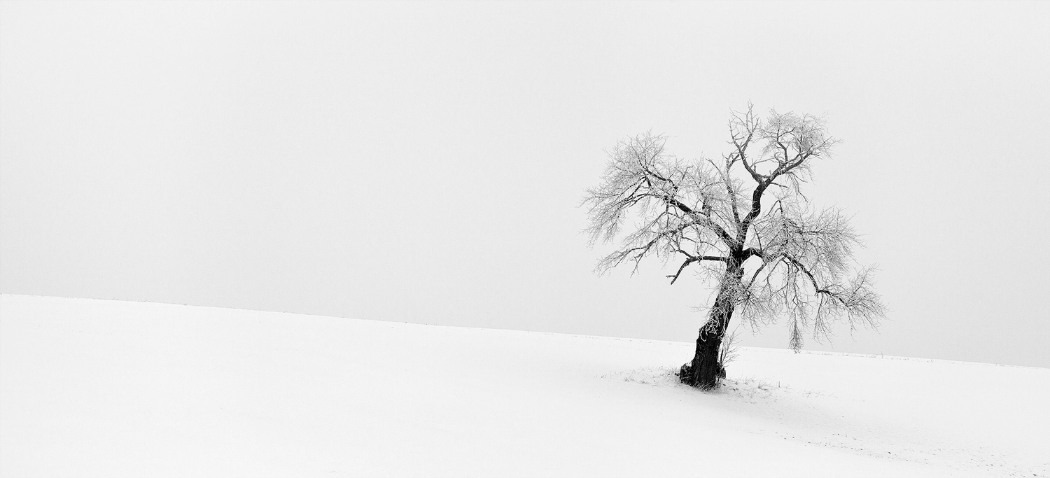 WAITING FOR SPRING [01|BW]