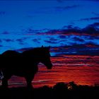 Waiting for Sunrise