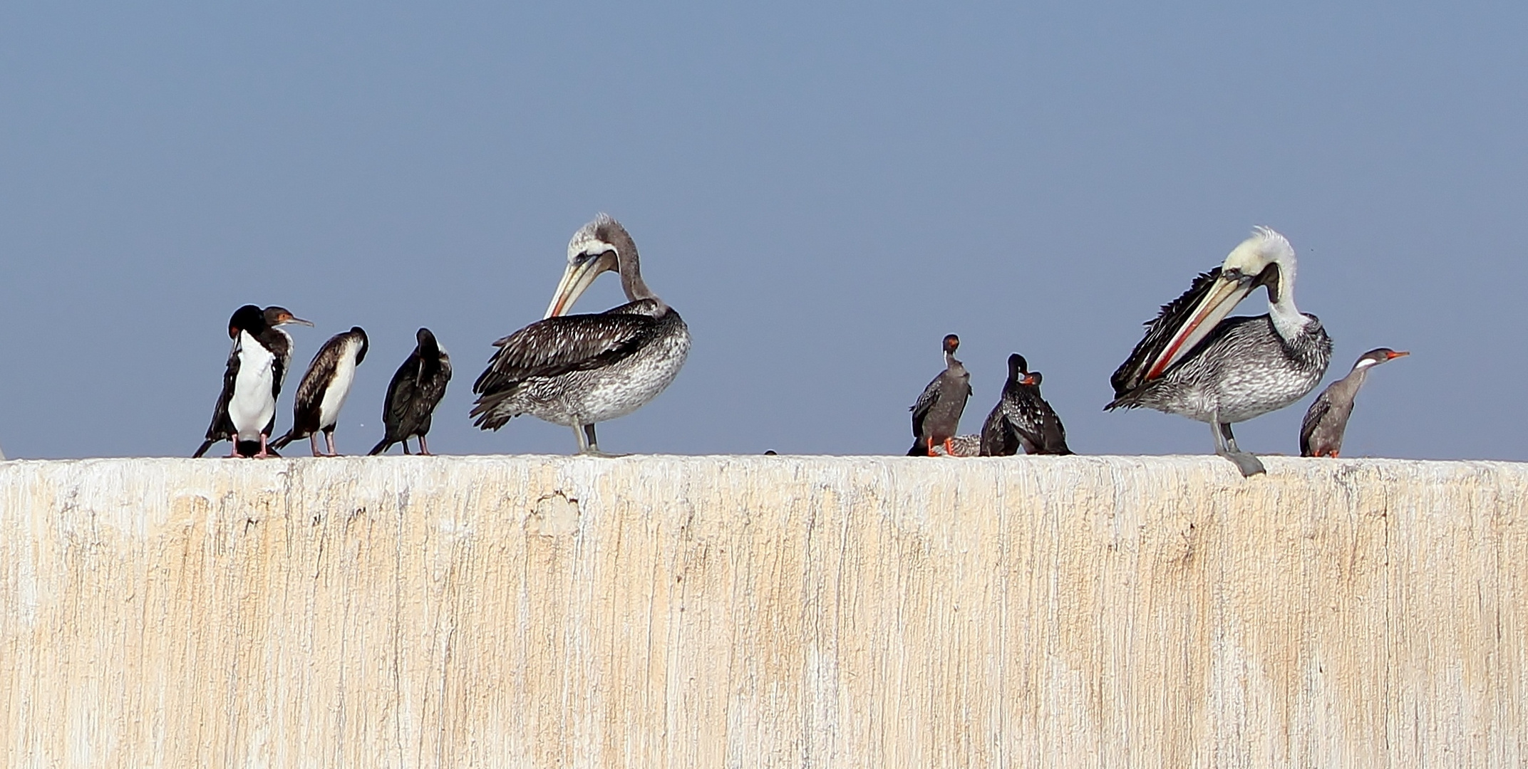 Waiting For The Fish