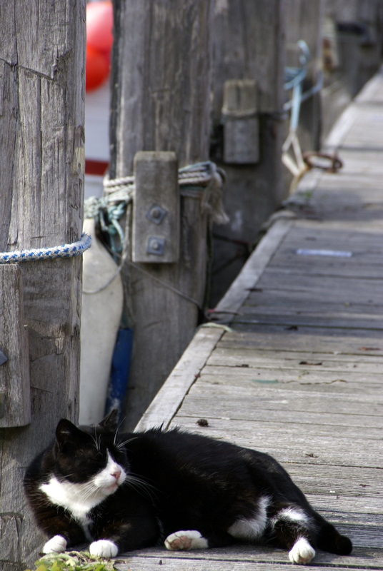 [waiting for the fish]