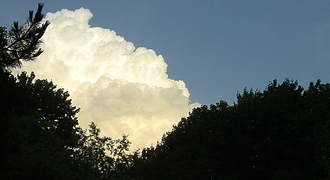 Waiting for the Hurricane... von Sylvia Berger