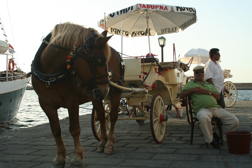 waiting for the next ride (chania krete)