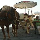 waiting for the next ride (chania krete)