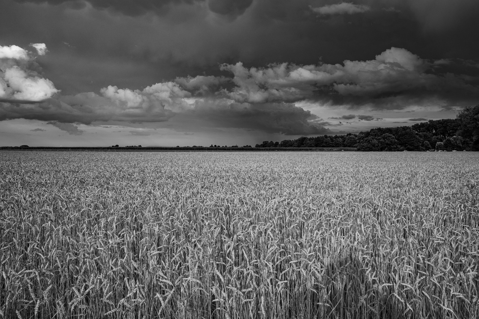 Waiting for the rain 