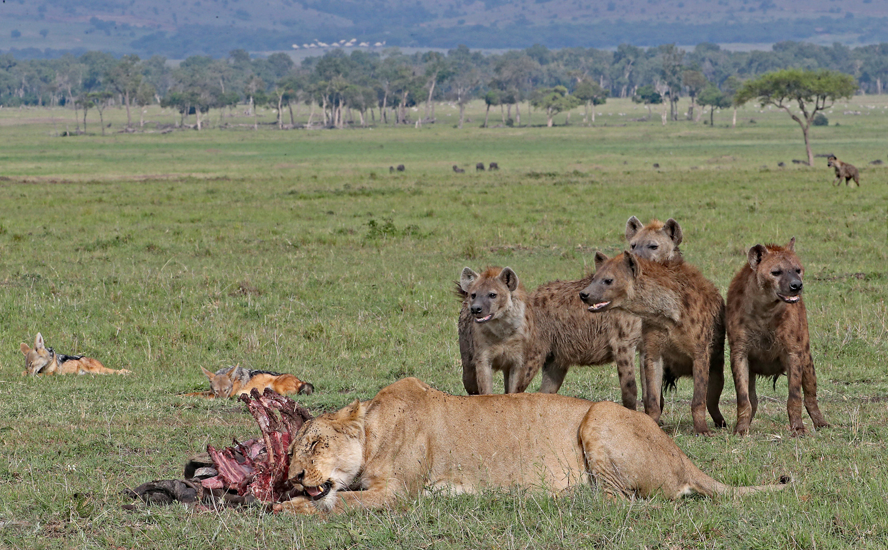 Waiting for the rest of food