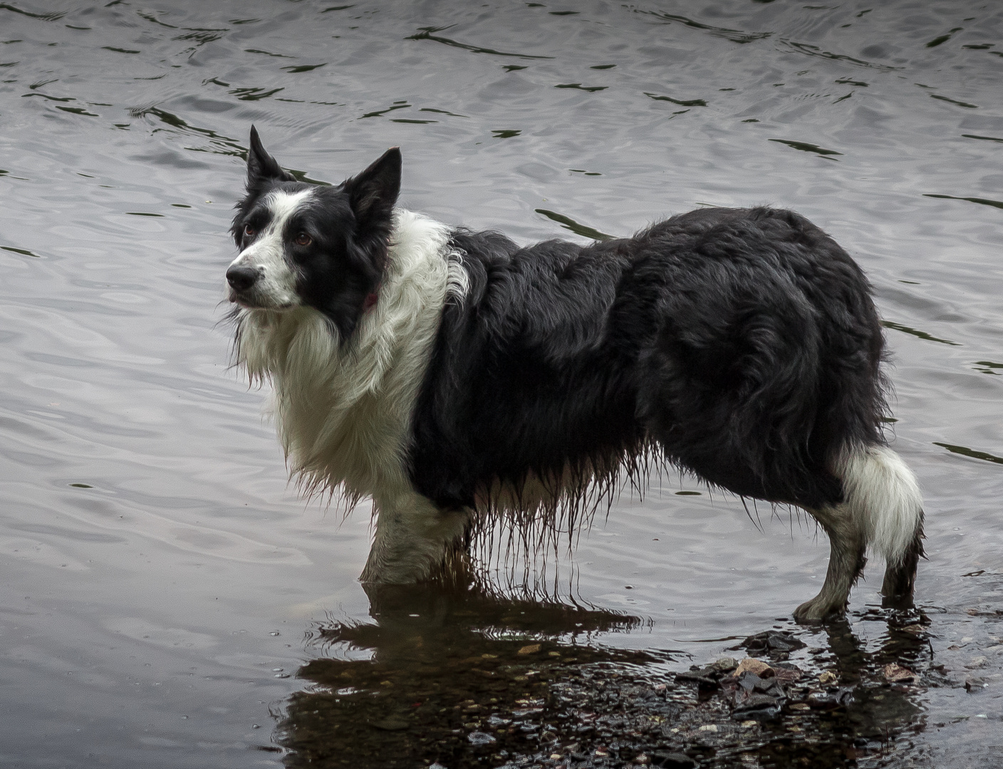 ... waiting for the stick