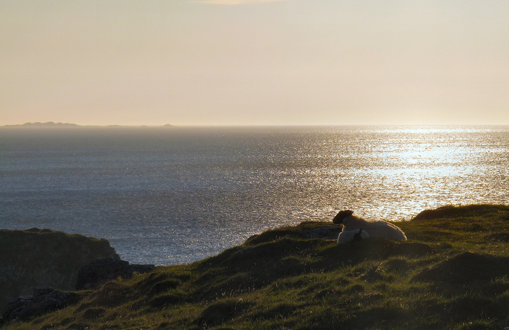 Waiting for the sunset