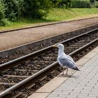 waiting for the train